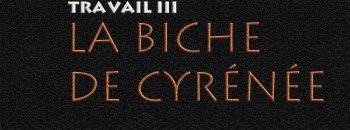 travail III - la biche de Cyr�n�e